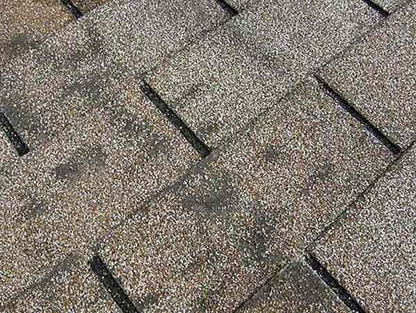 Dark, "Dirty Looking" Areas on Your Roof